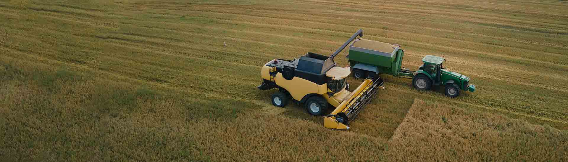Agriculture & Environment